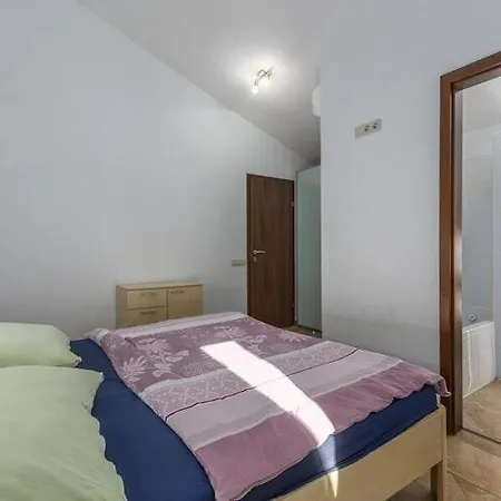 Casa de Férias Classy In Novigrad With Private Pool *