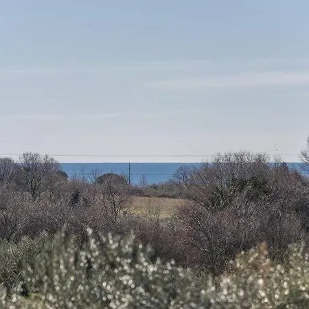 Classy In Novigrad With Private Pool * Novigrad Istria